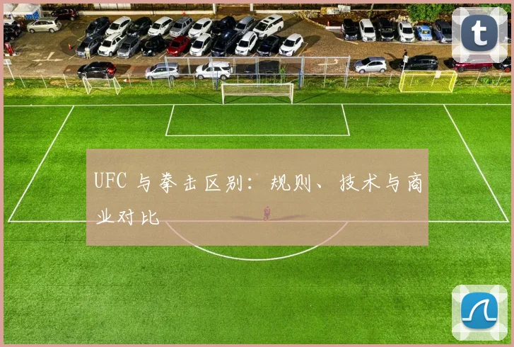 UFC 与拳击区别:规则、技术与商业对比