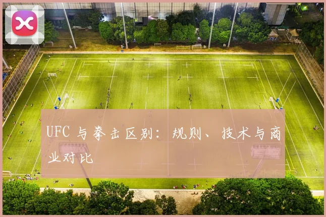 UFC 与拳击区别:规则、技术与商业对比